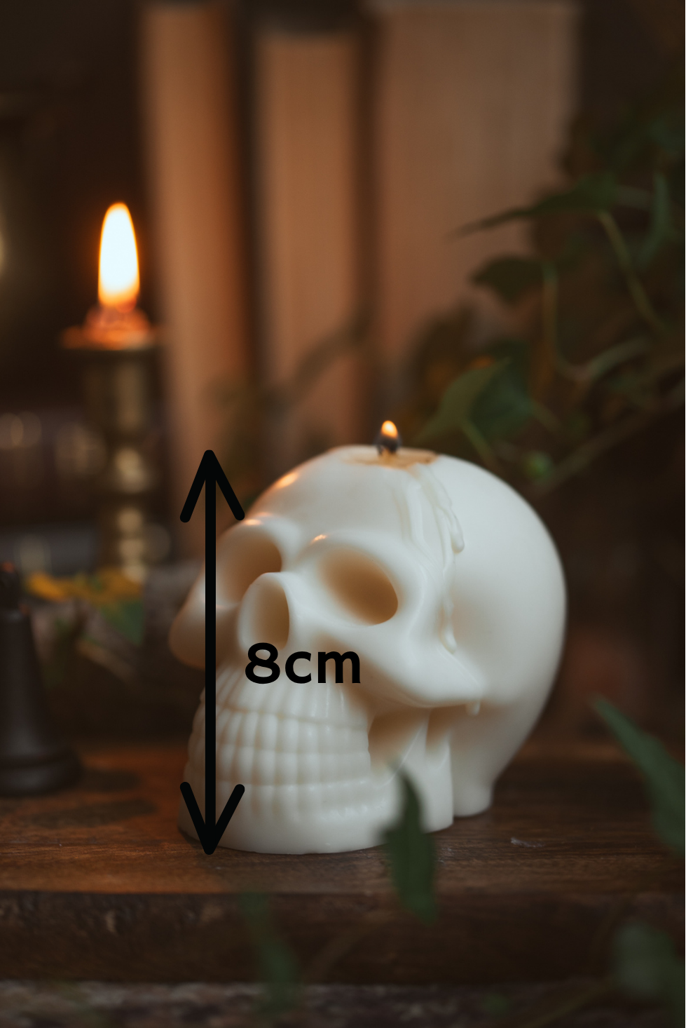 Skull Shaped Unscented Candle