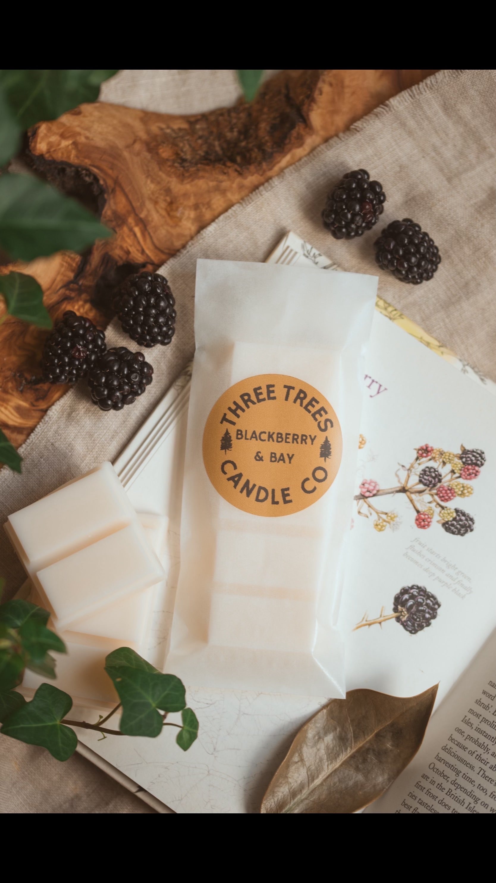 blackberry and bay scented wax melt snap bar