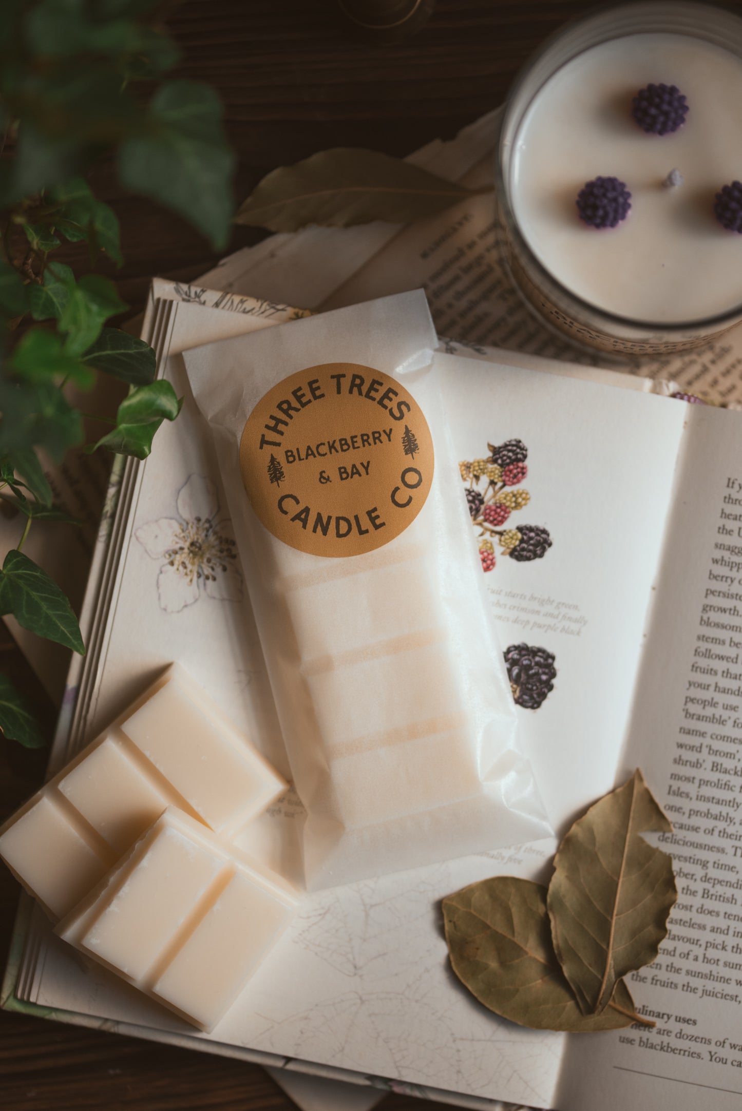 Blackberry and bay scented soy wax melt