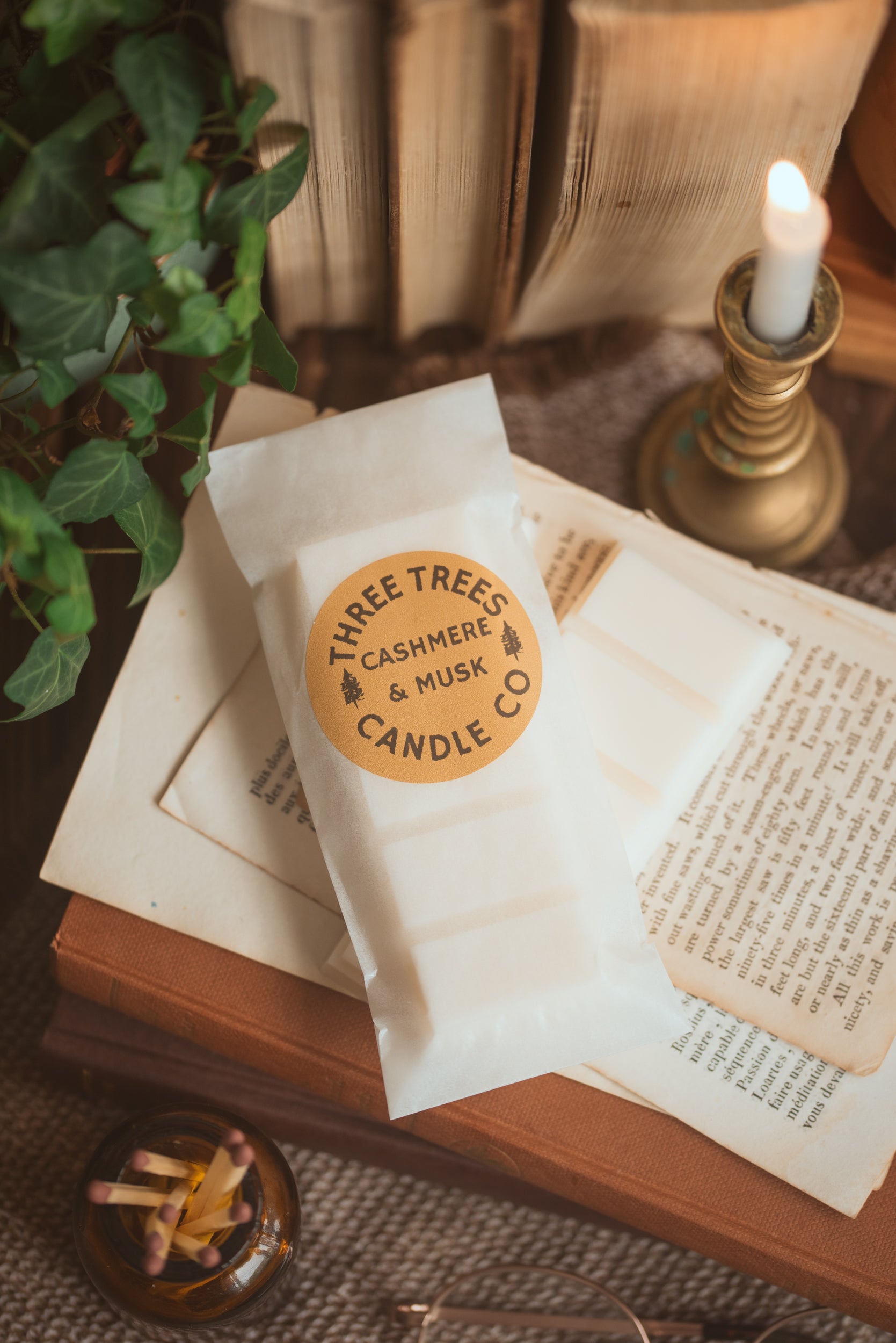 cashmere and musk soy wax melt snap bar