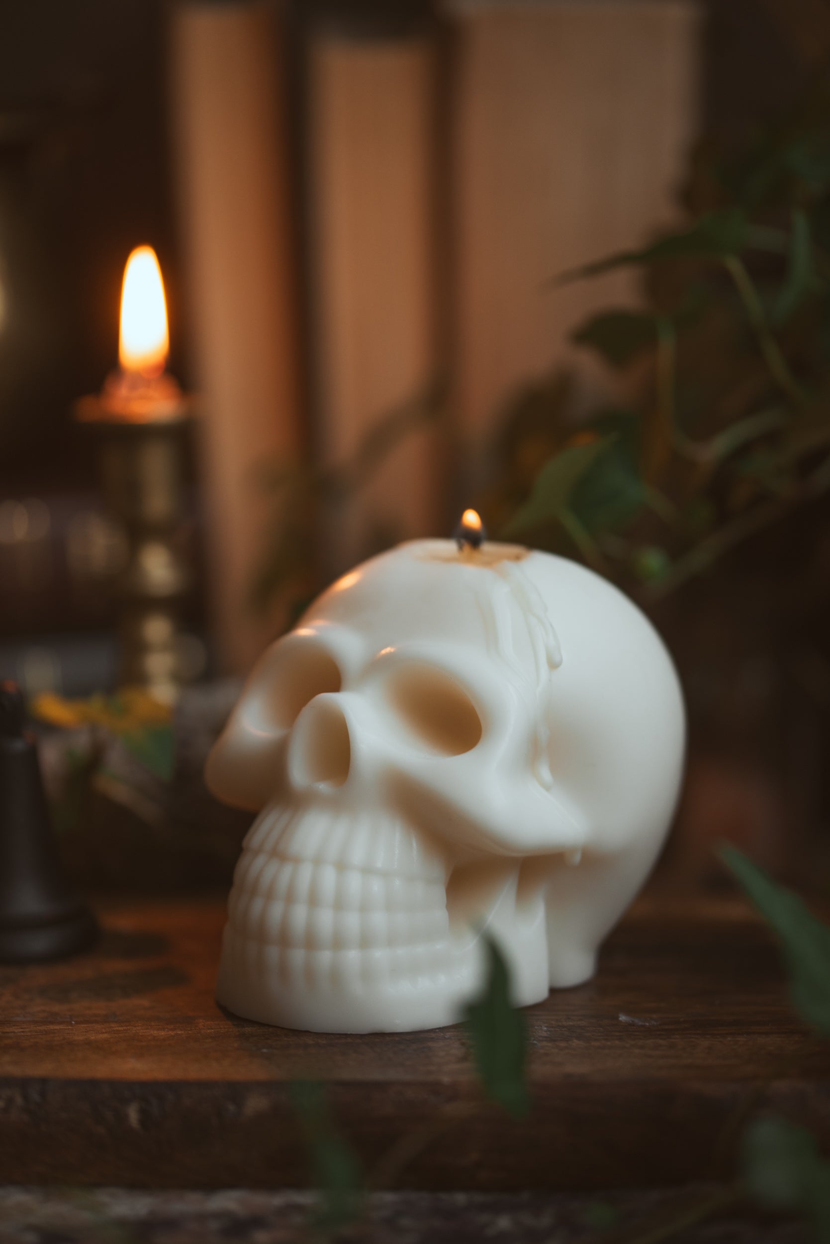 skull shaped soy wax candle