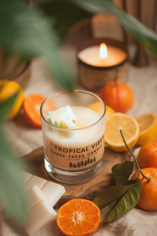 tropical vibes holiday coconut scented glass candle bum bum cream