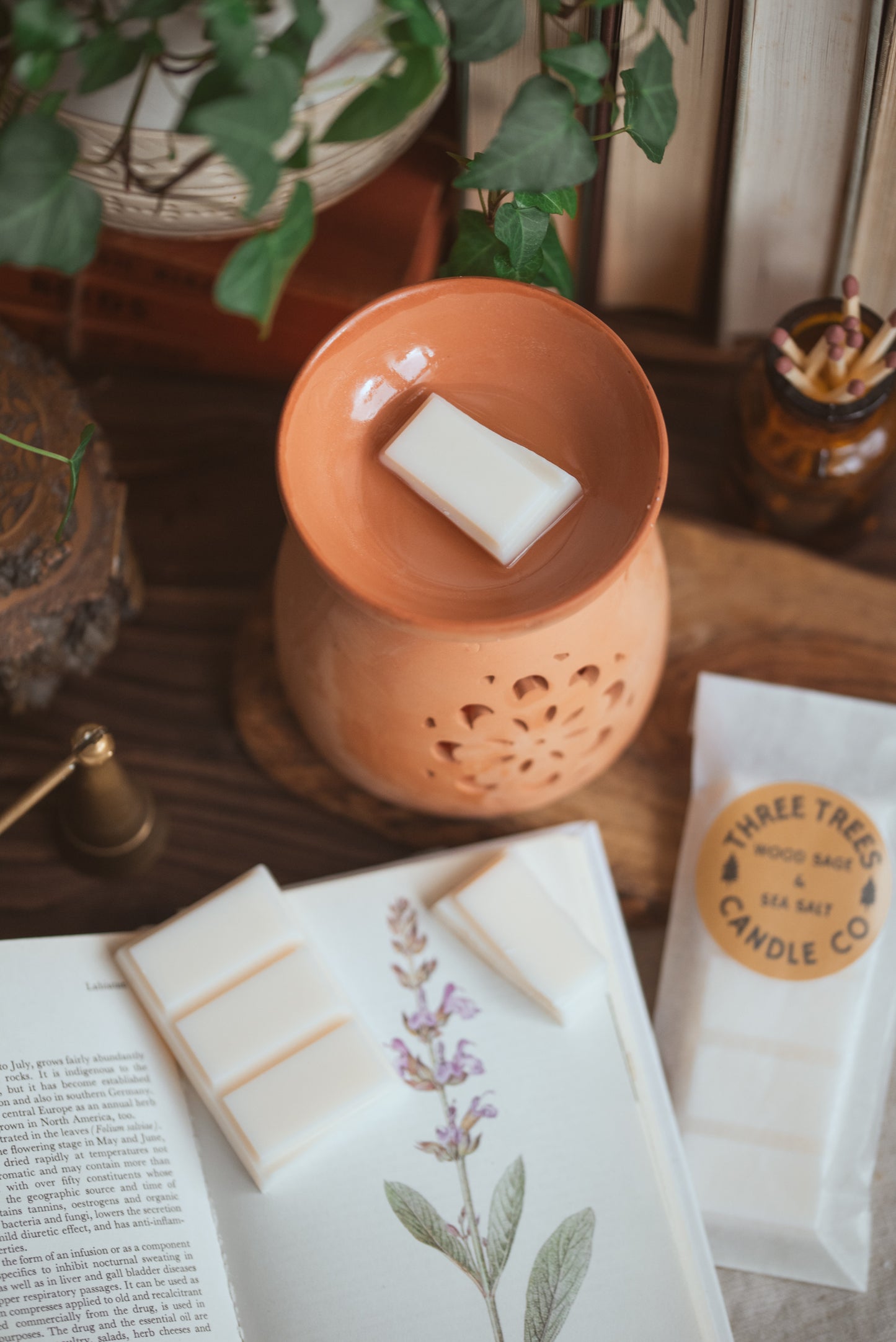 wood sage and sea salt scented soy wax melt 