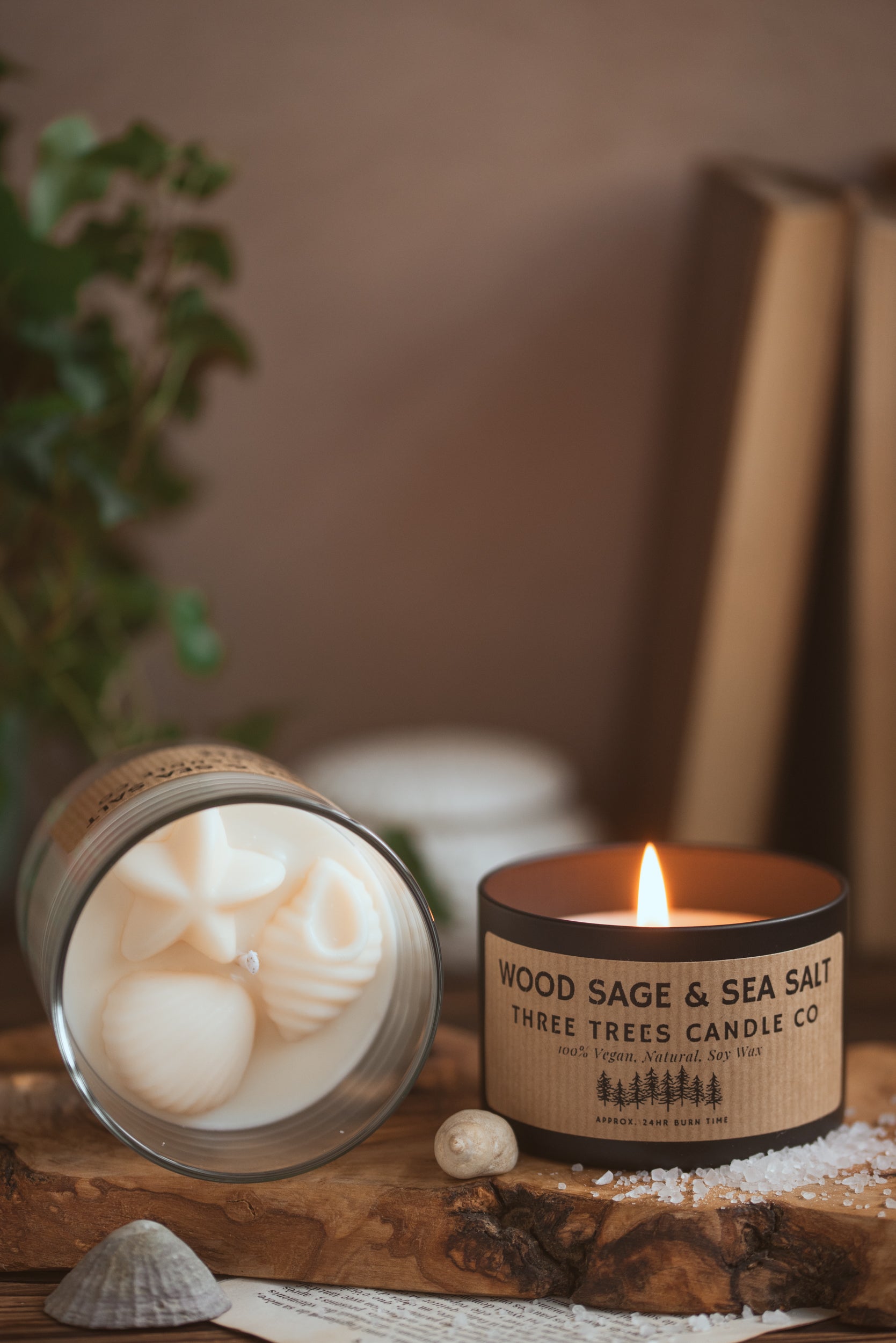 Wood sage and sea salt scented soy wax candle in a glass jar